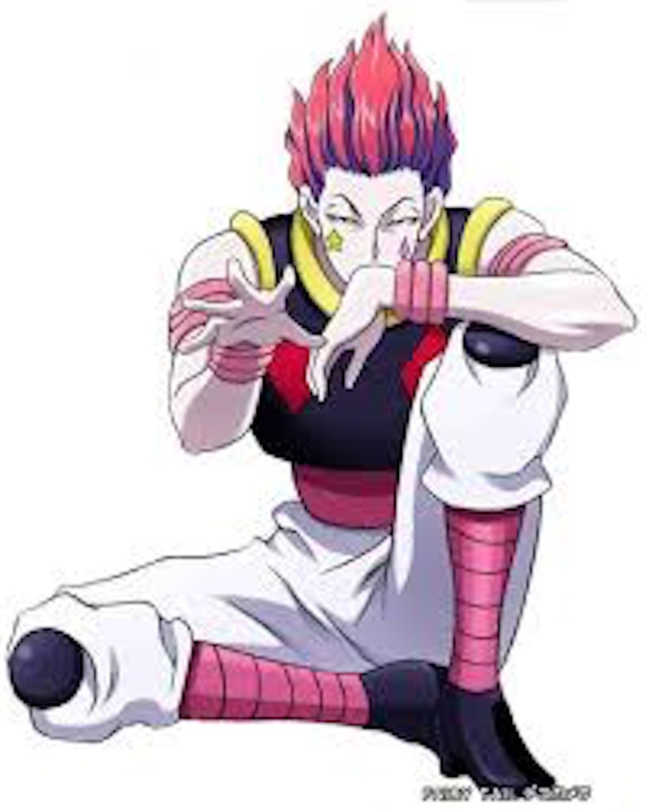 HUNTER×HUNTER ヒソカのこれまでの戦績をまとめてみた！ - 私の名前は 