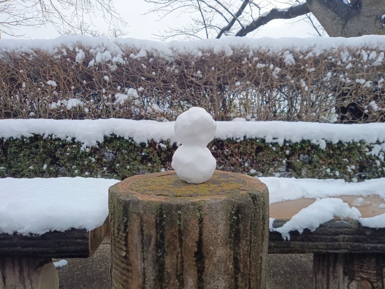 大人になっても雪だるまを作りたい - 新世界遊覧飛行