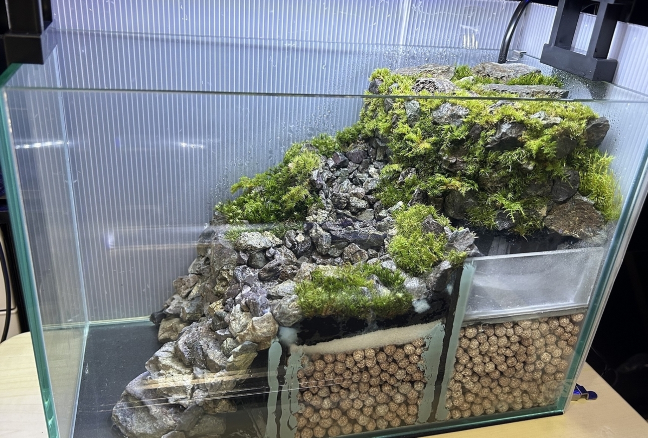 川の流れるアクアテラリウム作成⑦ ～コケ植栽編～ - 淡水海水30cm生活