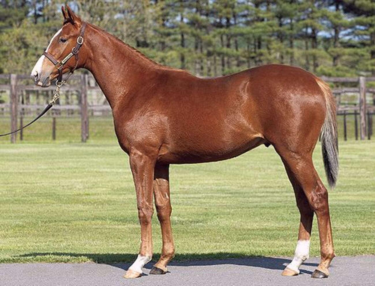 出資理由】アーモンドアイの23 - 焼魚定食の表示価格には消費税が