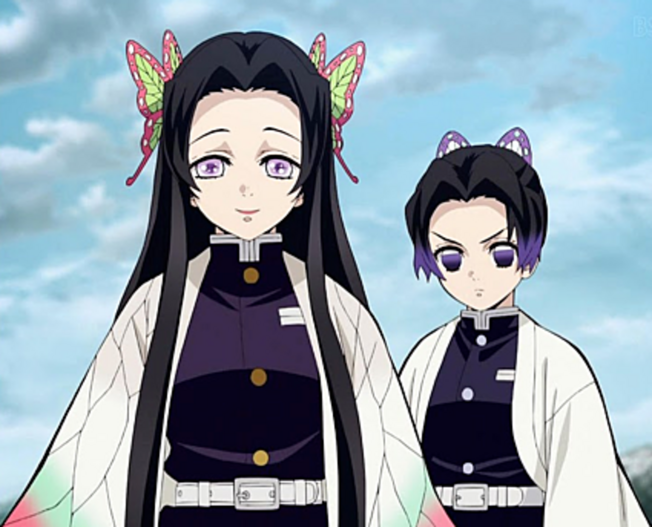 鬼滅の刃 まとめ売り 胡蝶姉妹 鬼滅の刃 胡蝶姉妹 クリアファイル - メルカリ