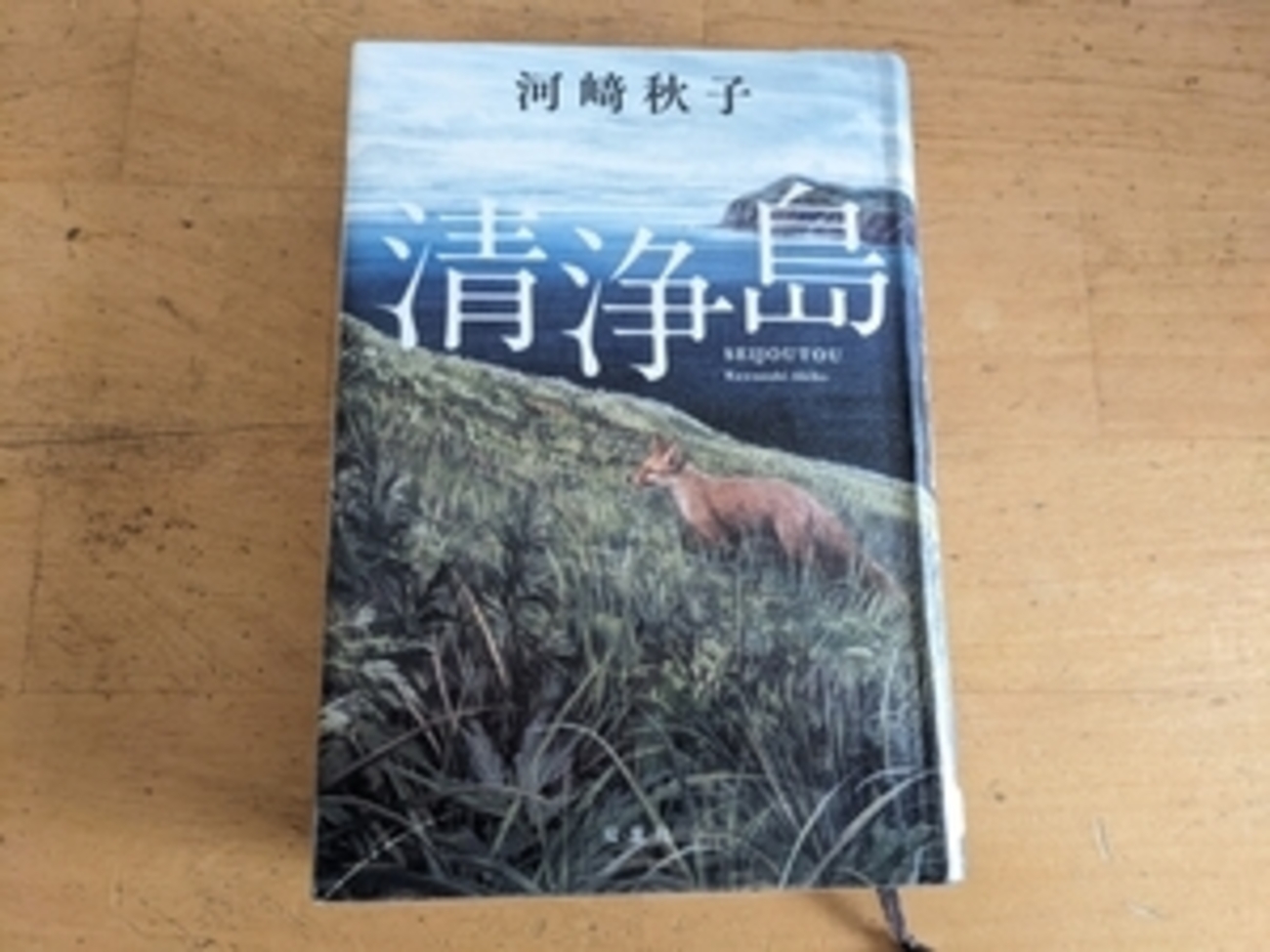☆読書感想「清浄島」河﨑秋子 エキノコックスに注意！ - ポコアポコヤ