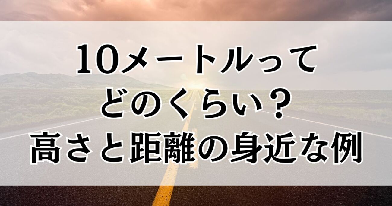 10 メートル どのくらい