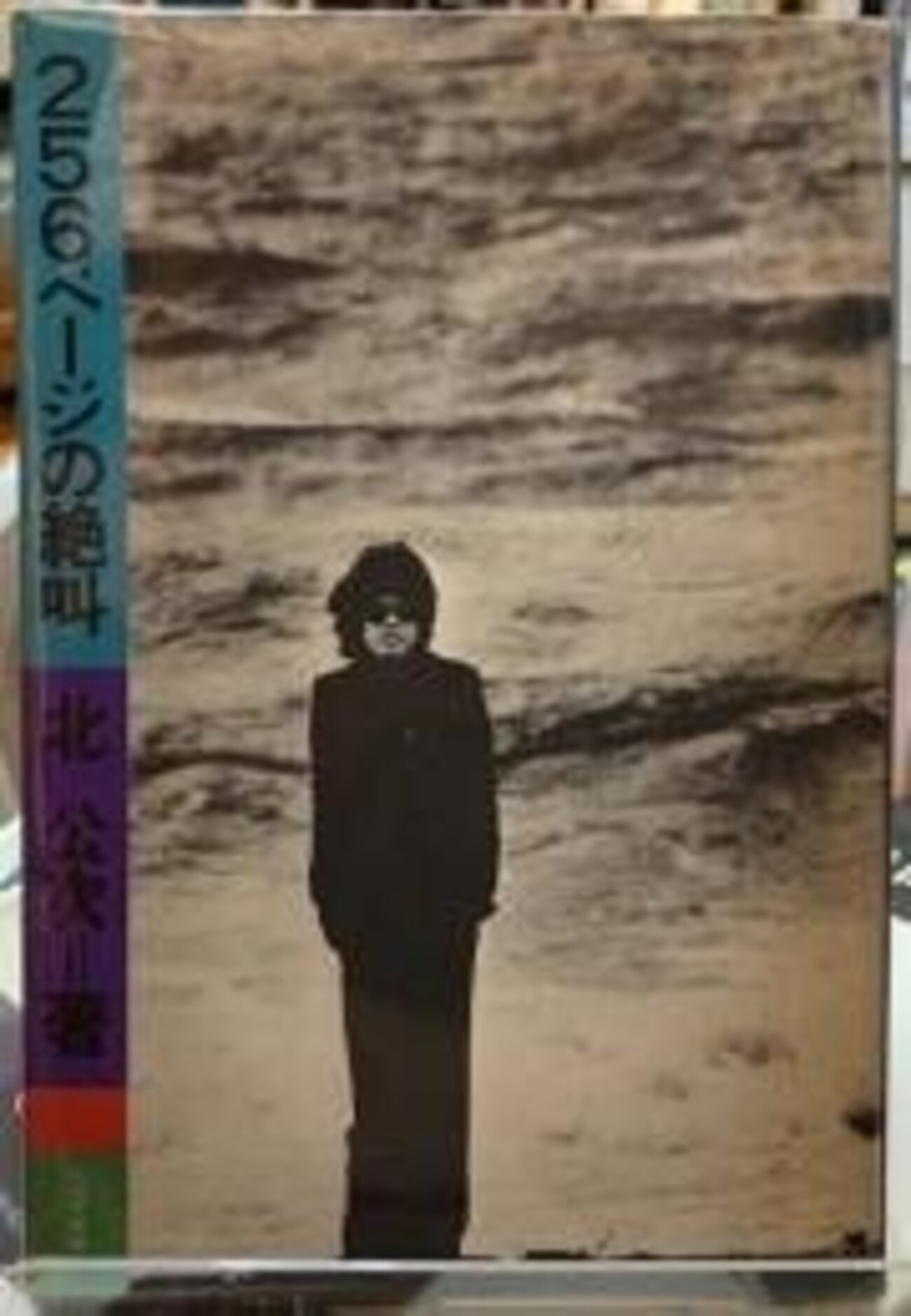 256ページの絶叫（さけび）」（北公次） - 「てるてるソング」 小野塚 
