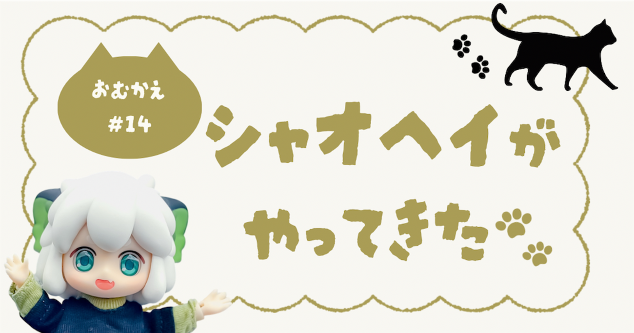 お迎えレポ#14】小黒がお家にやってきた!@羅小黒戦記ブラインドドール