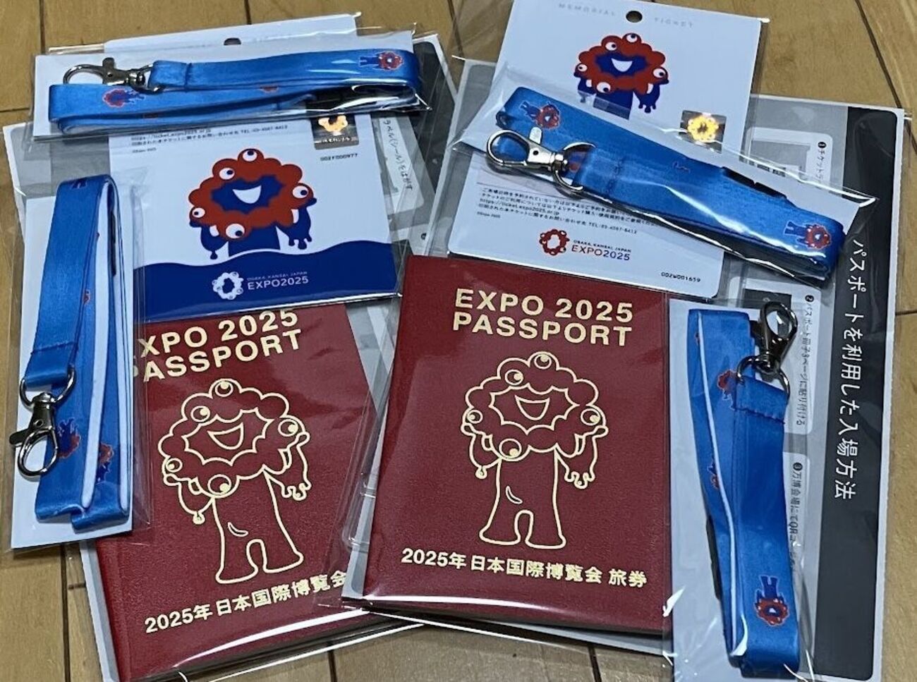 EXPO 2025 大阪・関西万博（1日目） - ねおあみ日記