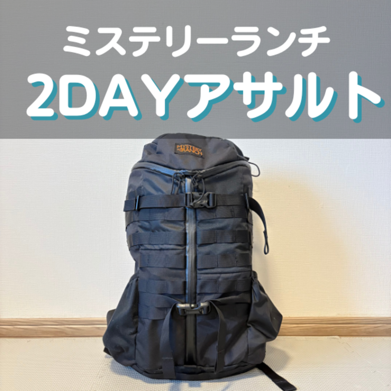 ミステリーランチの2DAYアサルト徹底レビュー｜サイズ感や機能は 