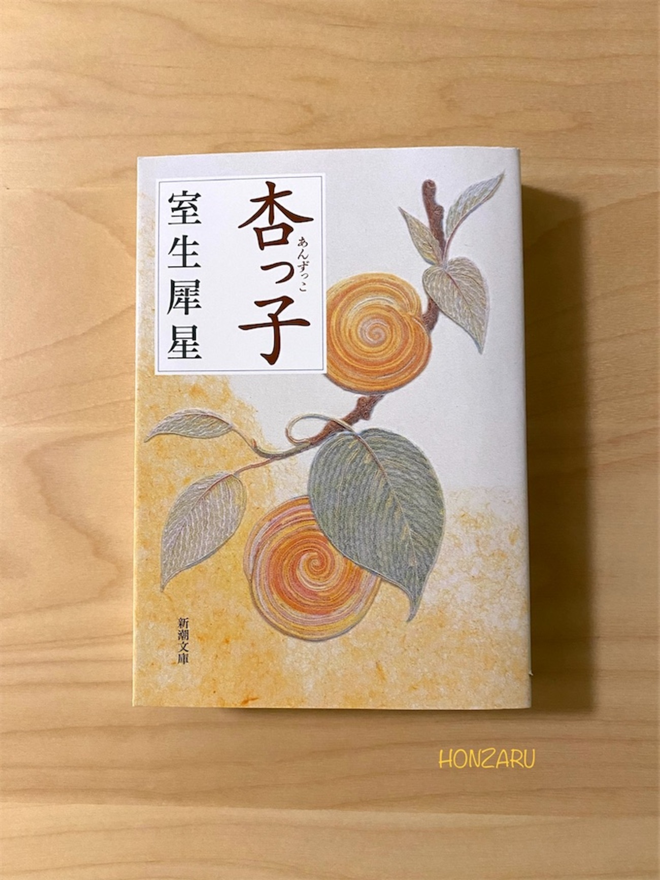 遠野浩子　無修正 