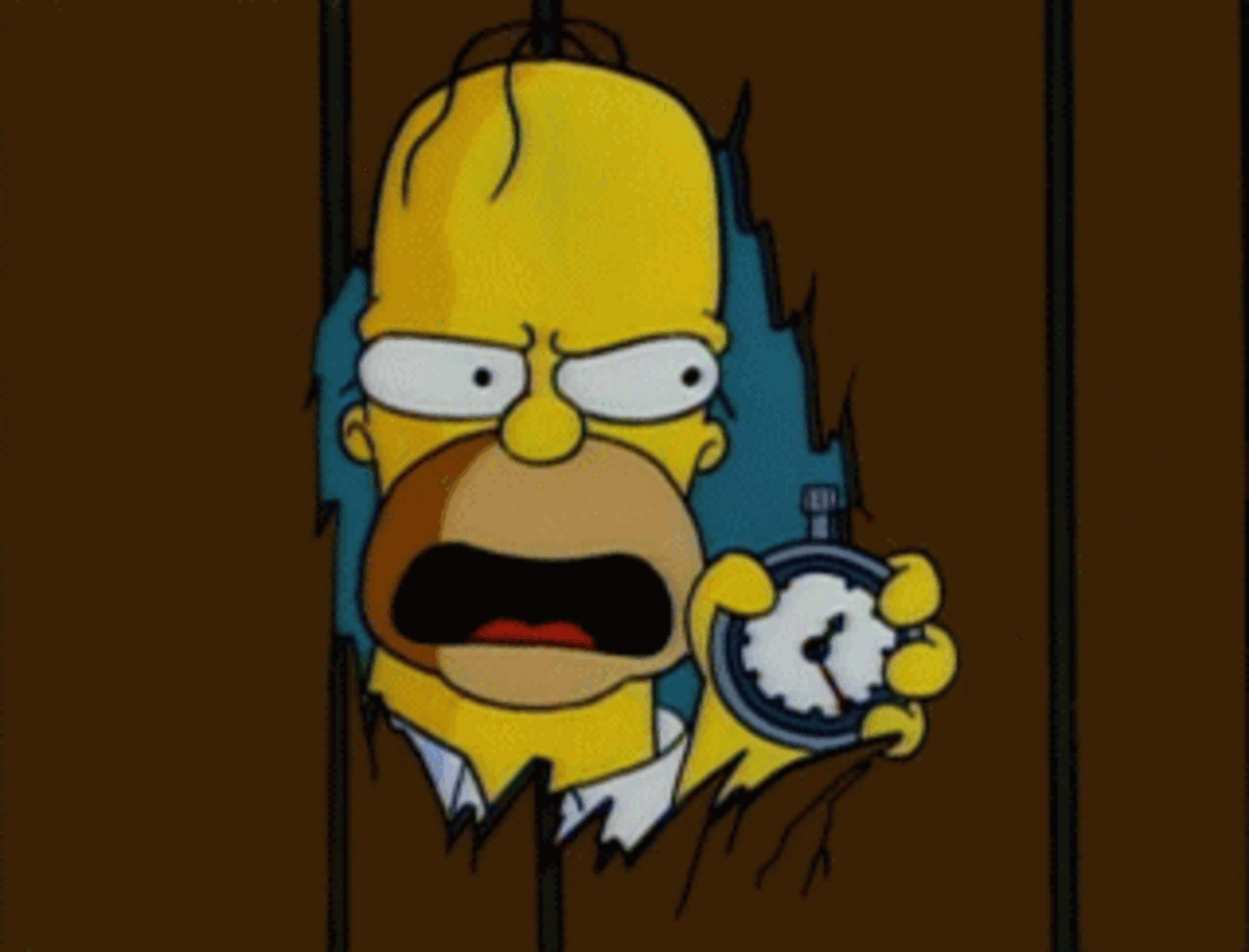 海外輸入盤シンプソンズシーズン16コンプリートセット