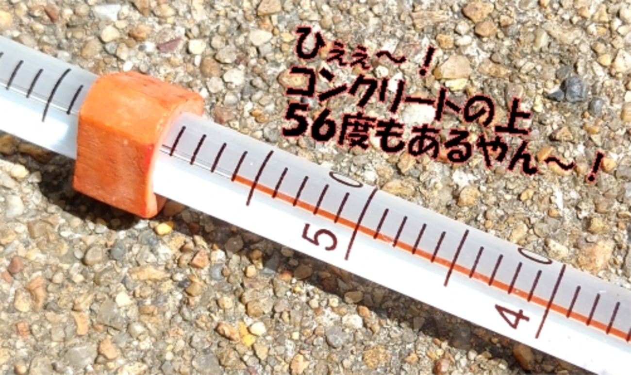 気温３４度でも🌡コンクリートの上は５５度！‥直射日光は４５度！レンチンJapan！ハチの巣用心！ - いげのやま美化クラブ(kyoto　Japan）