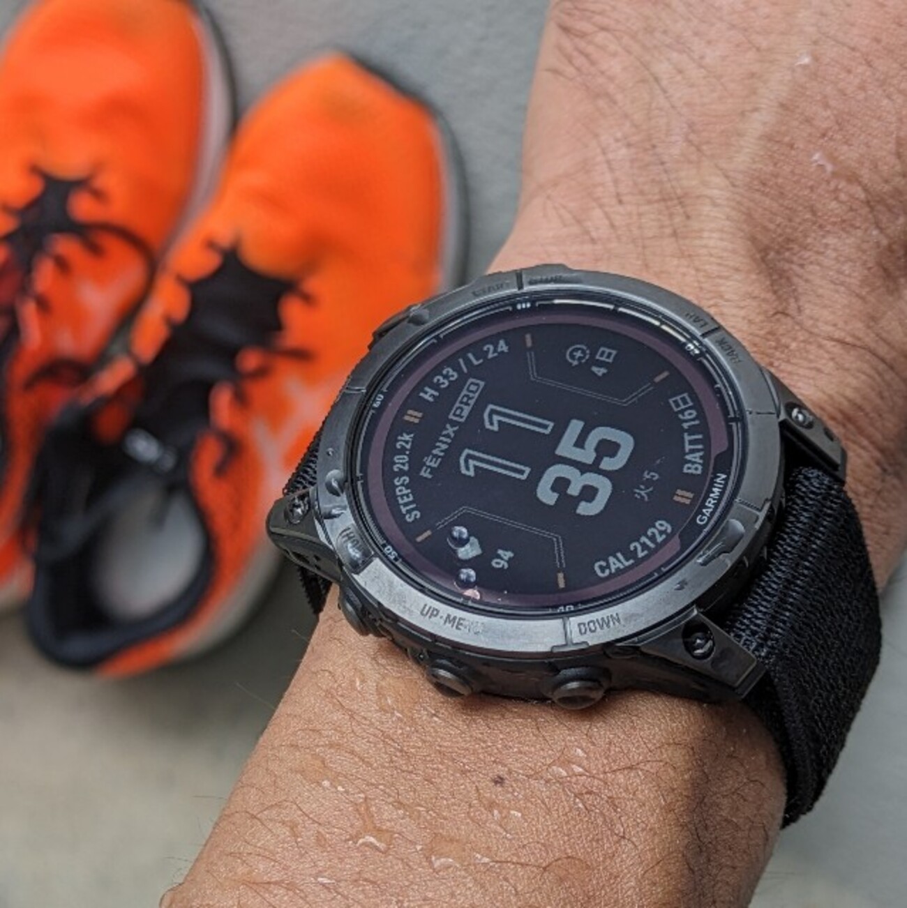 Garmin DC50 動作良好 Garmin DC50 動作良好