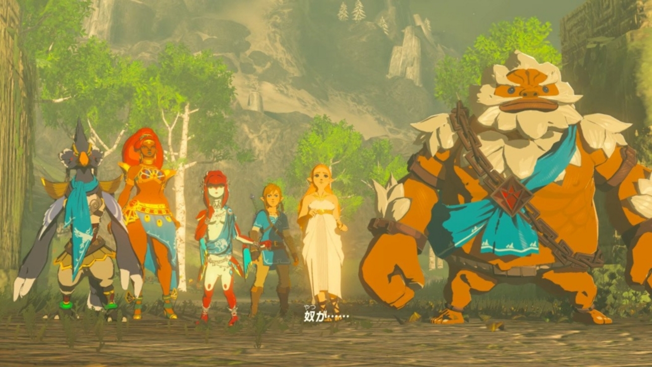 ゼルダの伝説 ブレスオブザワイルド リンクゼルダプロコンスプラトゥーン ゼルダの伝説 ブレスオブザワイルド リンクゼルダプロコンスプラトゥーン