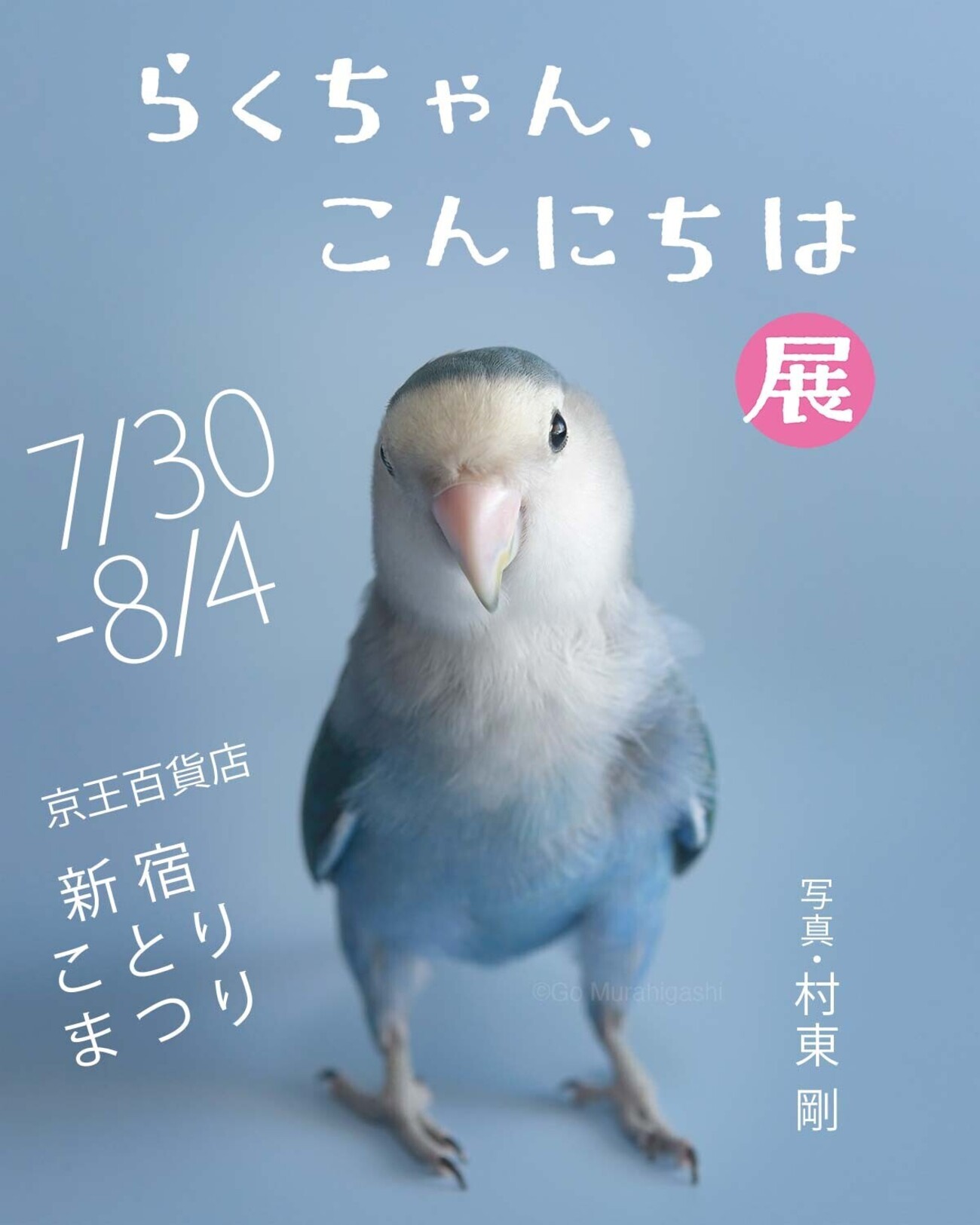 らくちゃん、こんにちは（新宿ことりまつり） - らくちゃんノート