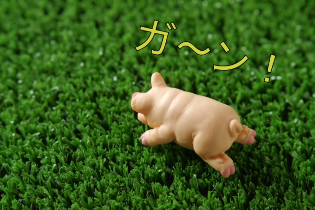 ANAファミリーマイルのプライム会員は誰に設定する？失敗した我が家の場合【2017年SFC修行】 - アラフィフ主婦、陸マイラーを目指す