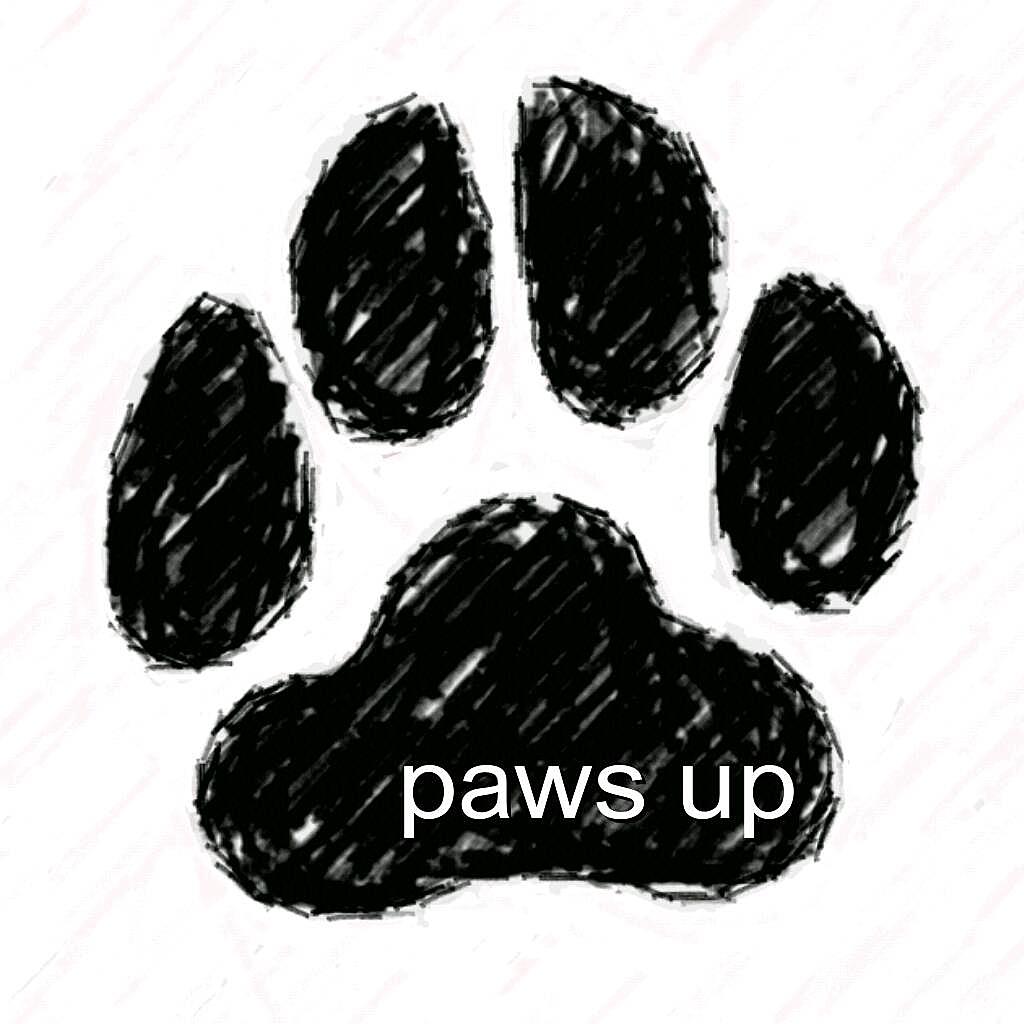 Paws Up