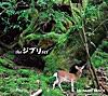 魔女の宅急便: 海の見える街
