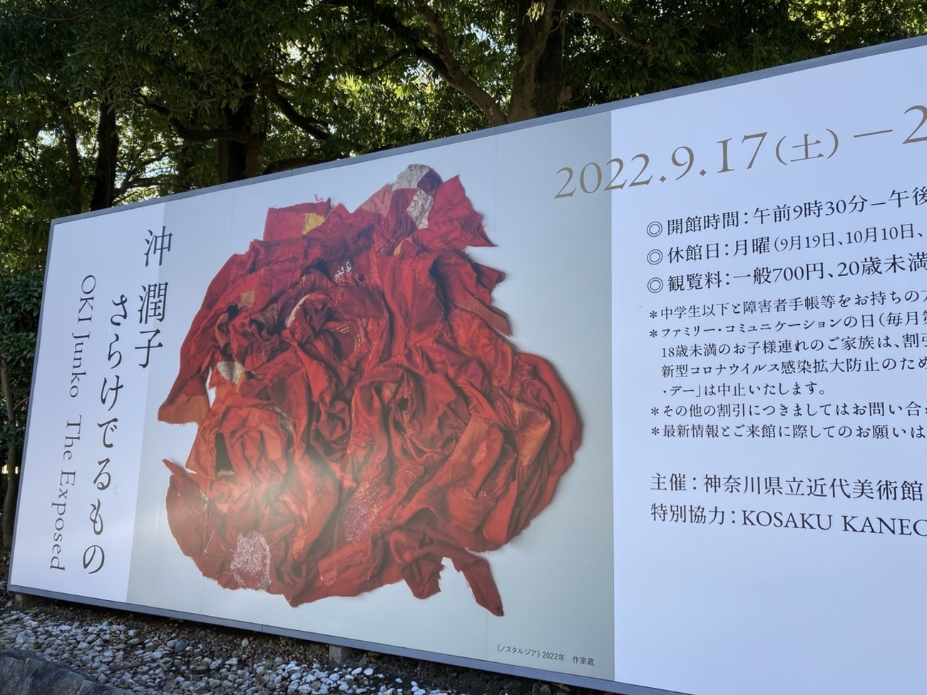 さらけでるもの - こびとく日誌