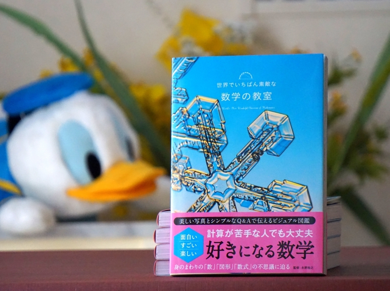 世界でいちばん素敵な教室 シリーズ 25冊｜世界でいちばん素敵なアメリカ