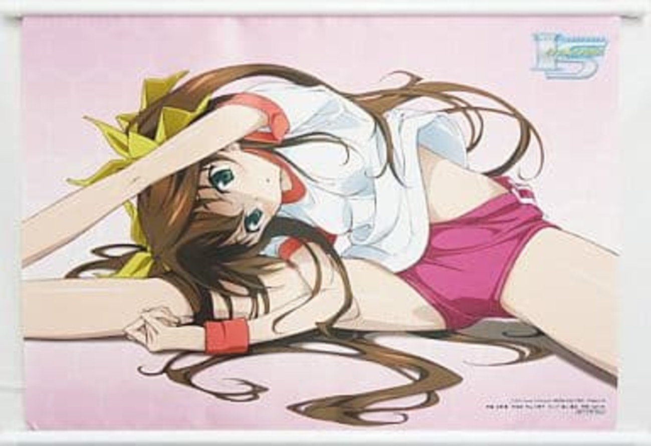 今凰鈴音 アニメ描き下ろしイラスト使用オリジナルタペストリー 「IS 