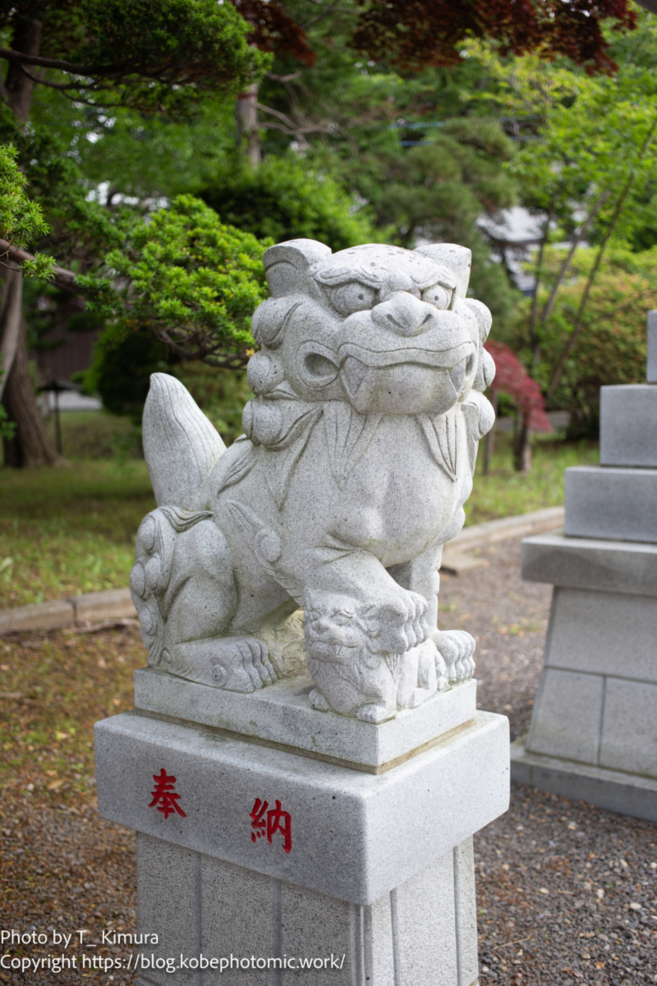 古い 土人形 狛犬 古道具 アンティーク 狛犬のみ 獅子と狛犬 陶人形 古美術 古道具 アンティーク 獅子 狛犬