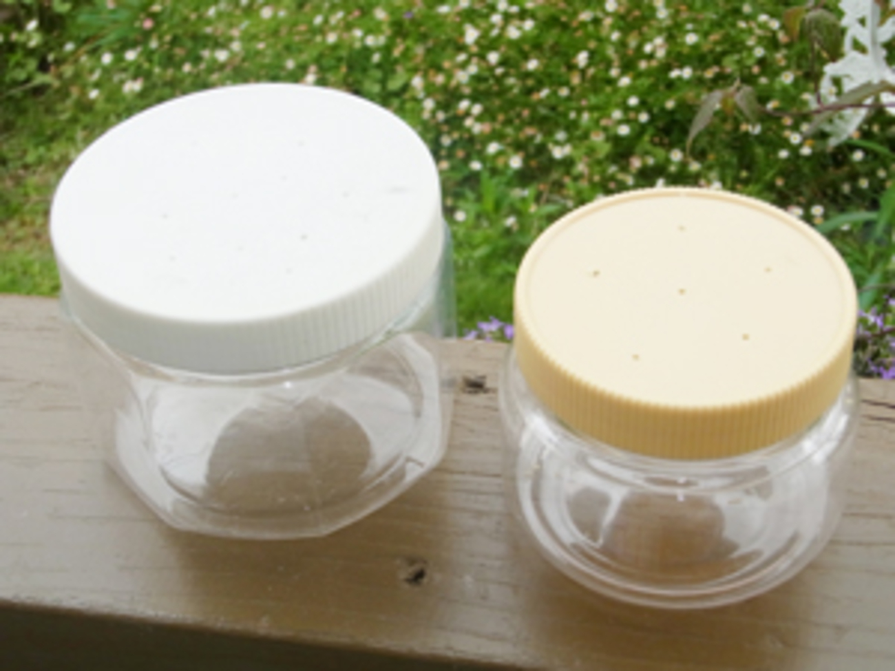 いろんな容器で虫を飼う 観察箱の代用品 - 虫はともだち