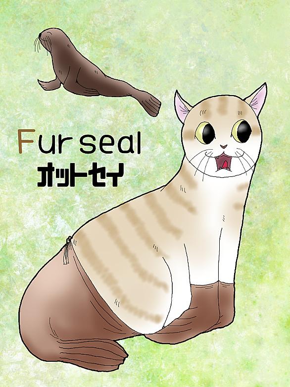 オットセイとは 動植物の人気 最新記事を集めました はてな