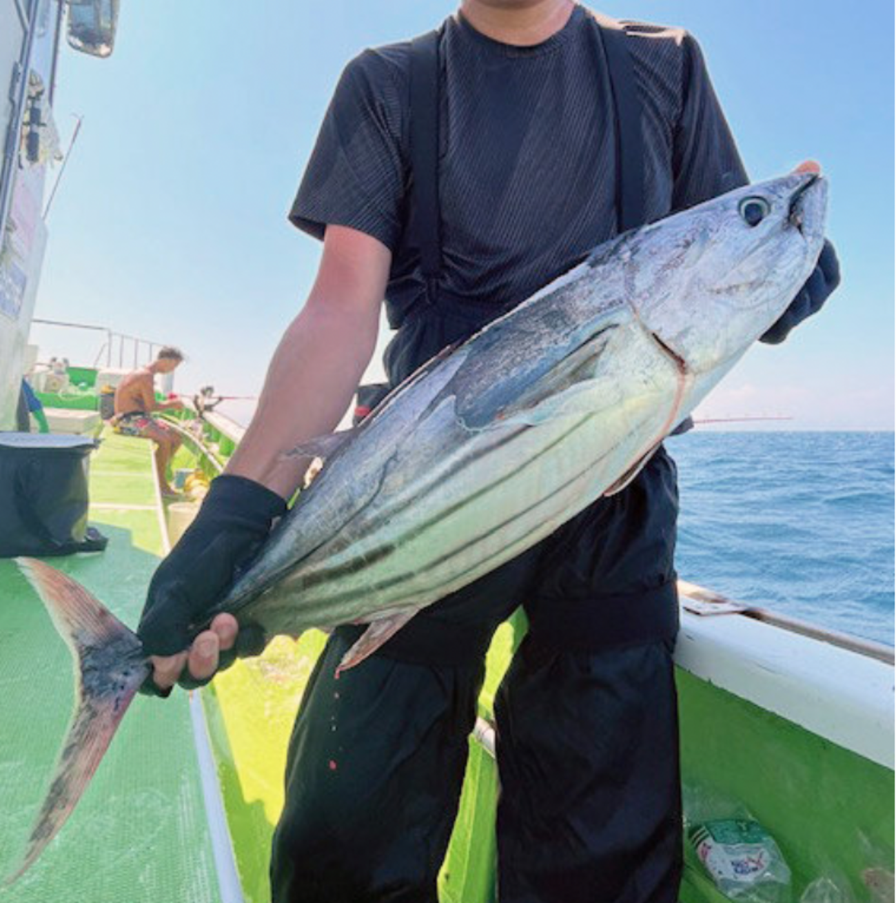 REELS KING TA 5000相模湾 キハダ カツオ コマセ コマセ釣り解禁！相模湾のキハダ・カツオ入門
