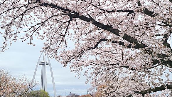 木曽川堤とは 地理の人気 最新記事を集めました はてな