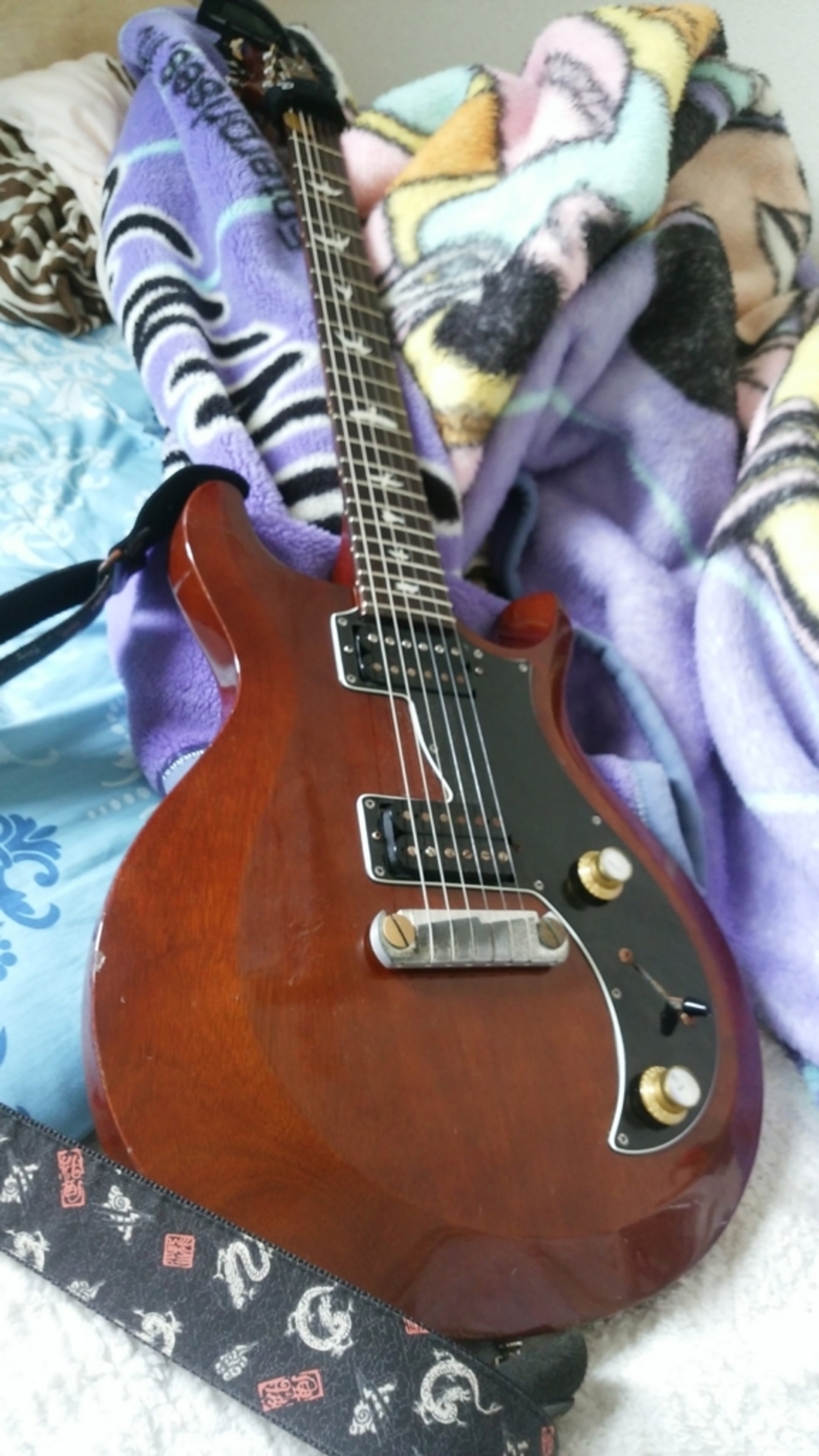 愛用ギターについて：PRS S2 Mira - vmira