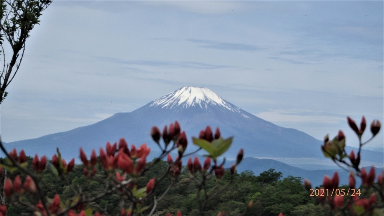富士山写真 「雄揮の大地」 קובץ:01 Fujisan from Yamanakako 2004-2-7.jpg – ויקיפדיה