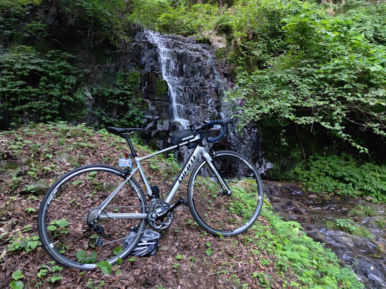 メインバイク GIANT DEFY1 2016 - 限界放大生の雑記