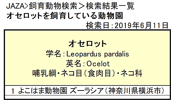 オセロットとは 動植物の人気 最新記事を集めました はてな オセロットとは 動植物の人気 最新記事を集めました はてな