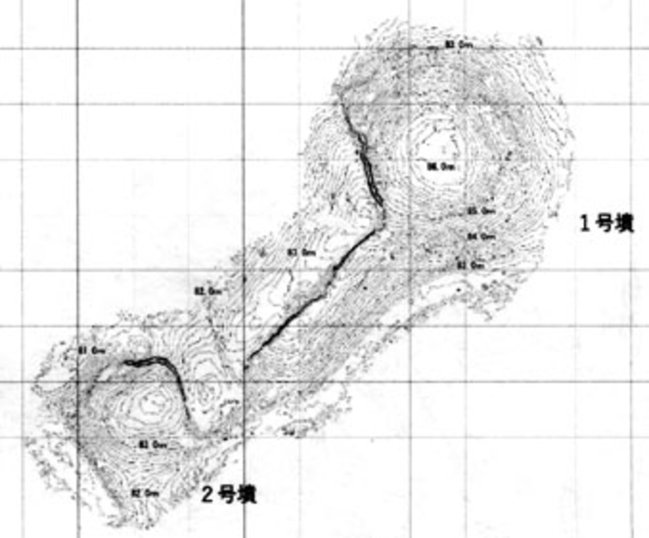 日高町向山古墳群、県下最古前方後円墳か 〈2026年5月12日〉 - THE