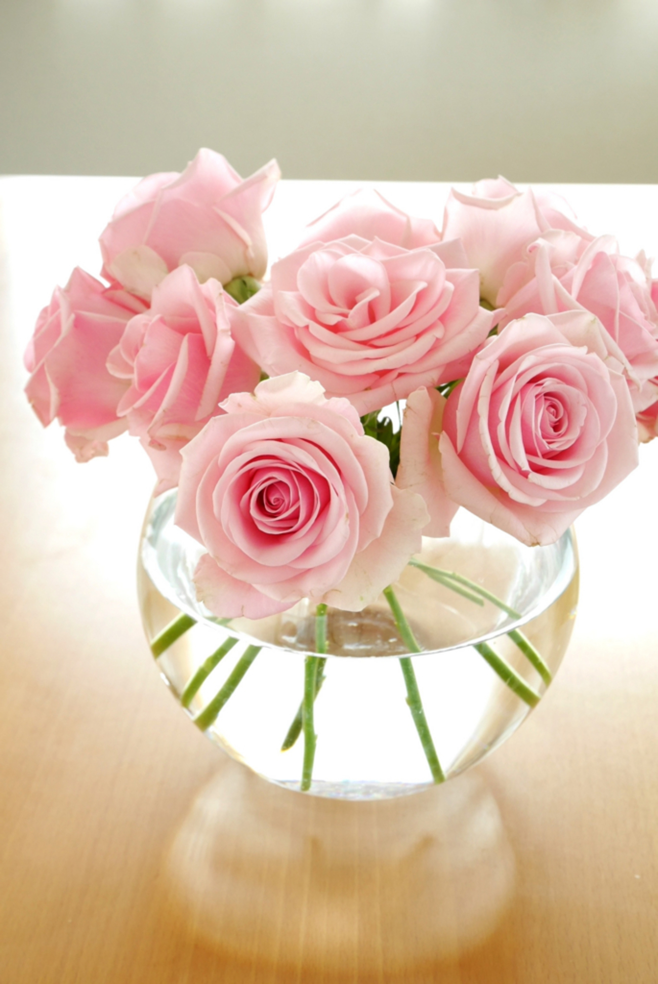 backend=imagemagick;version=1;