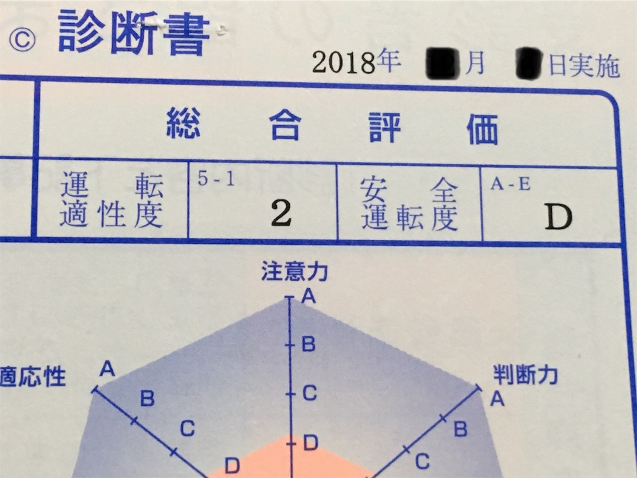 自動車 学校 適性 検査 ひどい