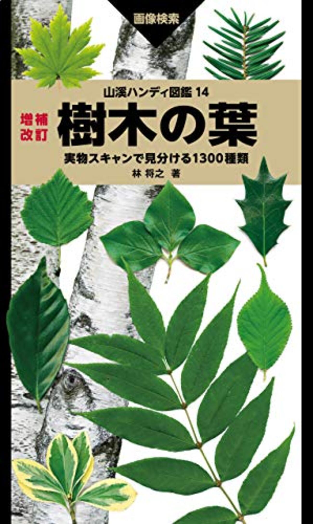 希少‼️【初版帯付き】遠く時の輪の接する処　リーフ　葉書あり 遠く時の輪の接する処 | 松本 零士 |本 | 通販 | Amazon