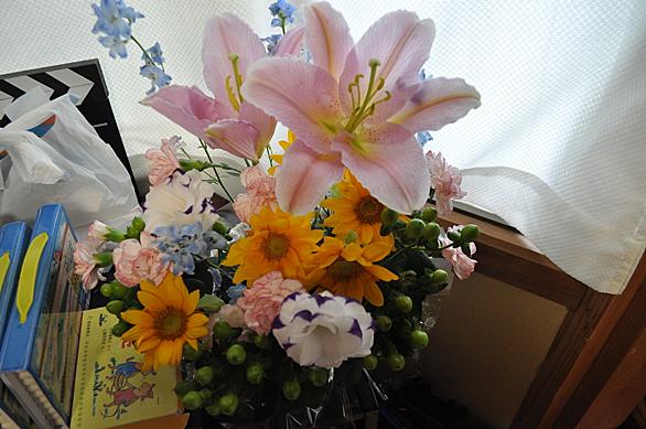 骨粗しょう症とは サイエンスの人気 最新記事を集めました はてな