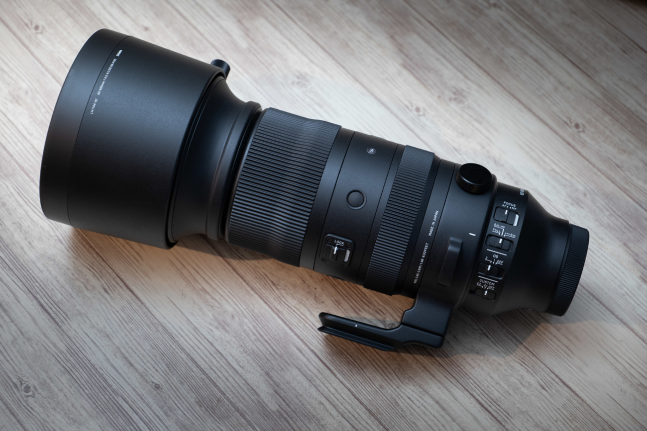 SIGMA 60-600mm F4.5-6.3 DG DN OS | Sportsレビュー - とあるビデオ 