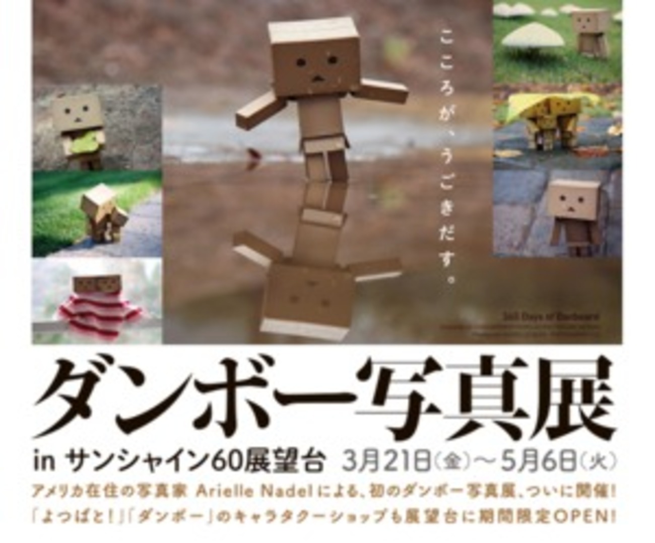 ダンボーとは