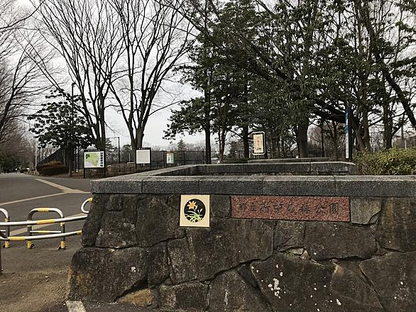 藤木相元とは 一般の人気 最新記事を集めました はてな