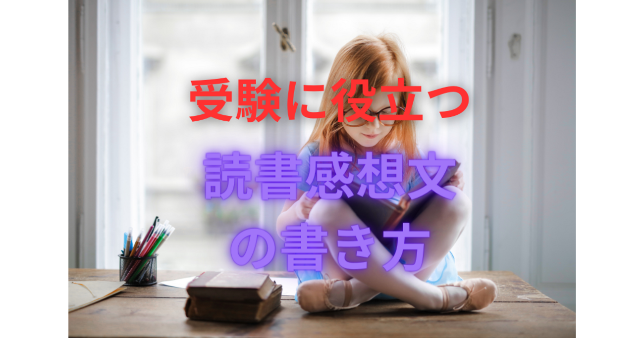 小説セット　中学受験　読書感想文 小説セット 中学受験 読書感想文 本