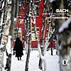 Bach: Brandenburg Concertos (Alpha Collection)