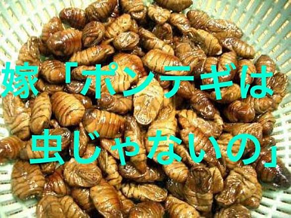 ポンテギとは 食の人気 最新記事を集めました はてな