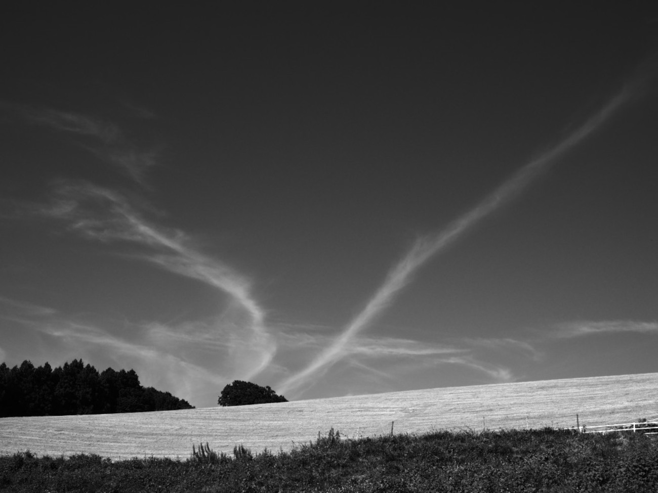  monochrome photo walk