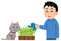 ダンボール箱とは 一般の人気 最新記事を集めました はてな