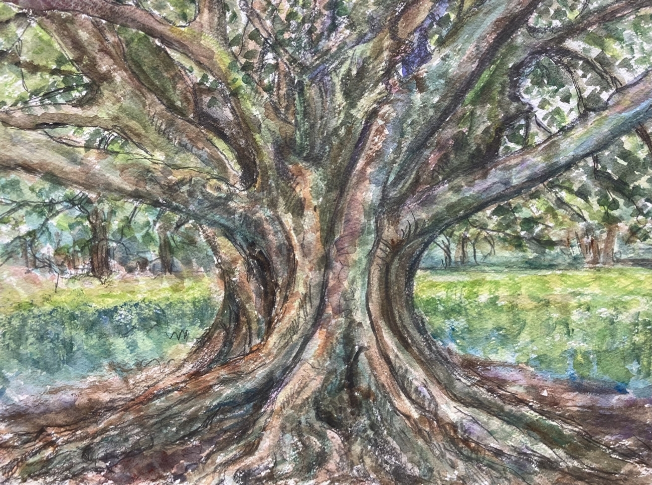 水彩画 (上野公園 2022年 ) 水彩画 上野公園 不忍池 蓮 - メルカリ