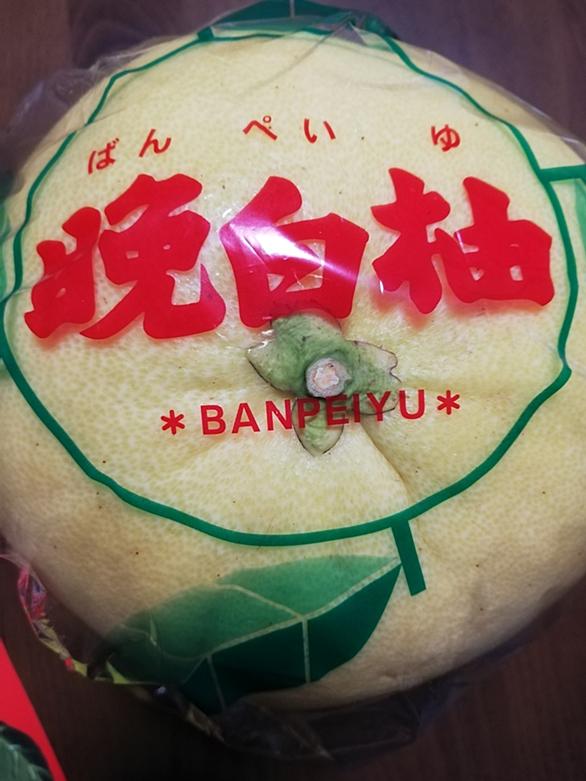 晩白柚とは 食の人気 最新記事を集めました はてな