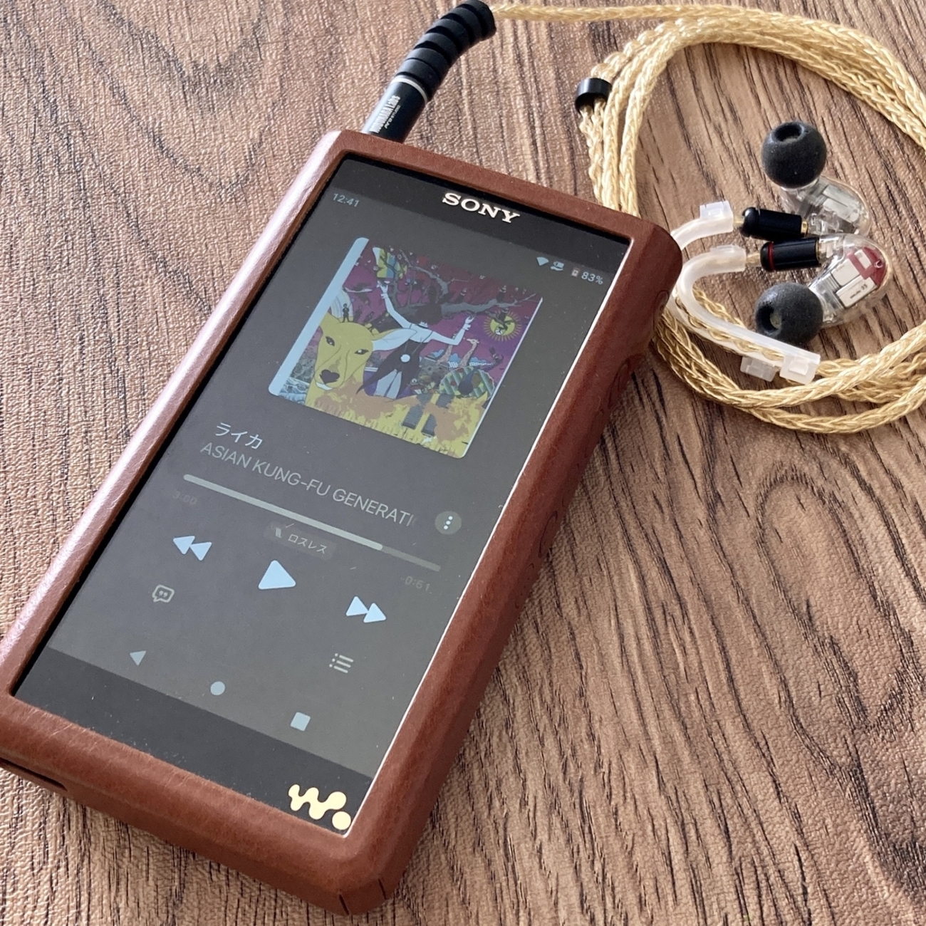 SONY NW-WM1AM2 エージング済み backend=imagemagick;version=1;