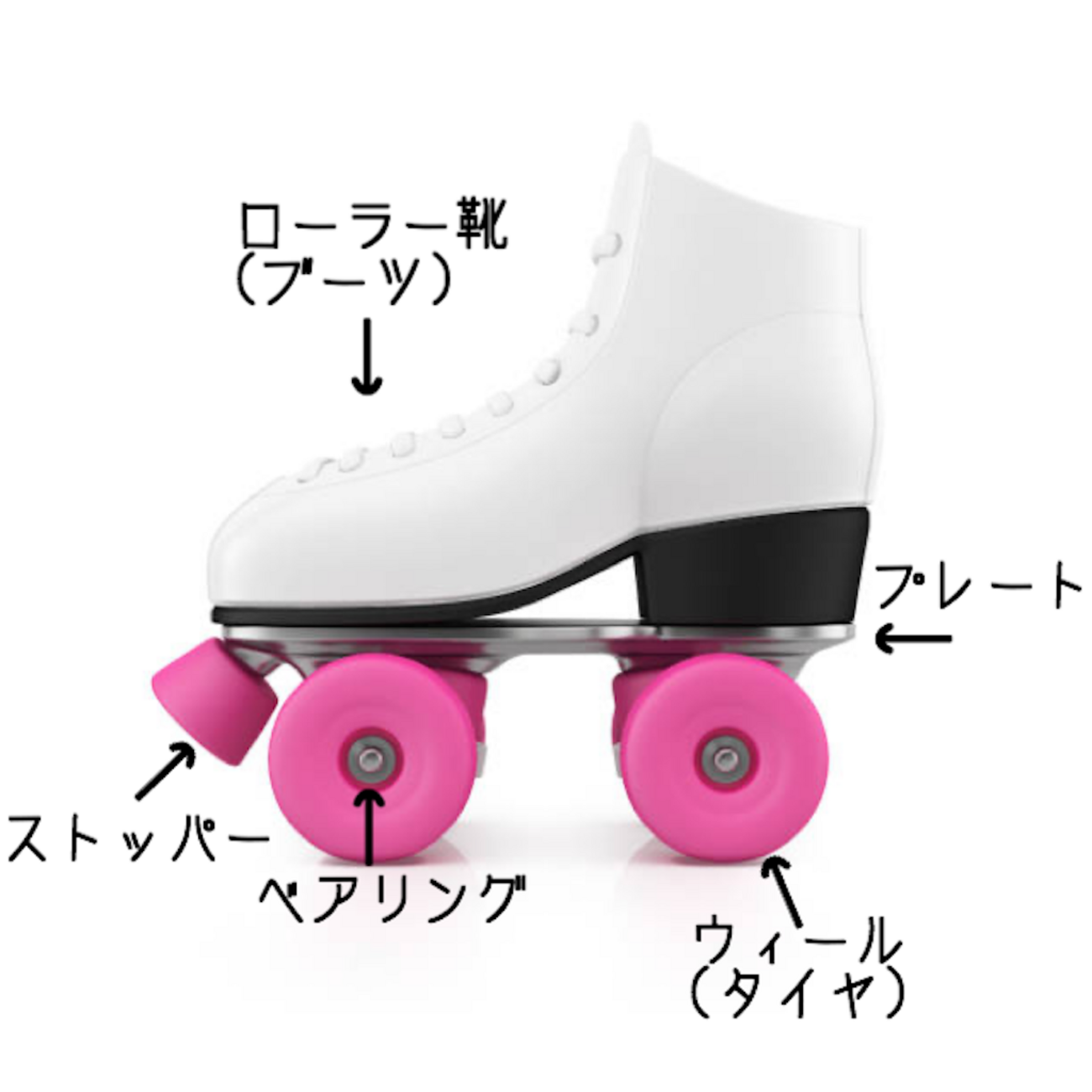 光GENJIのニッチなローラースケート解説動画が面白すぎる。 - さしより 