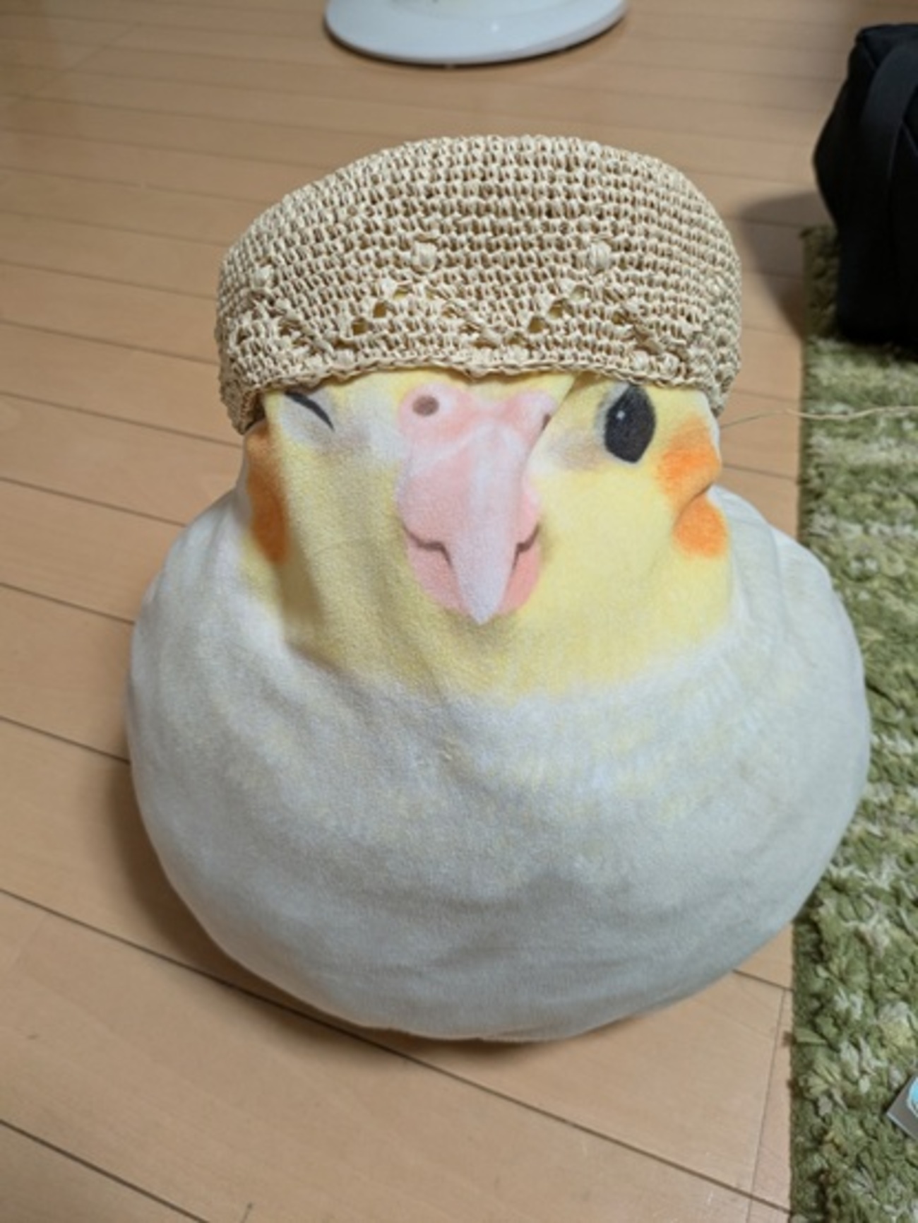 ここまで編んだけど・・・ - インコ日和